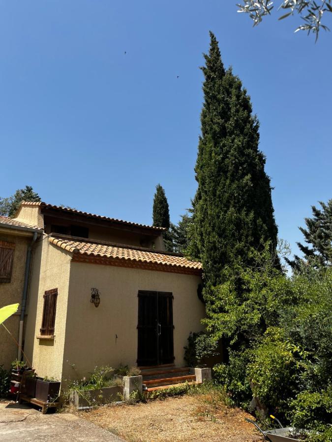 Le Mazet De Choubouloute Bed & Breakfast Saint-Gilles  Exterior foto