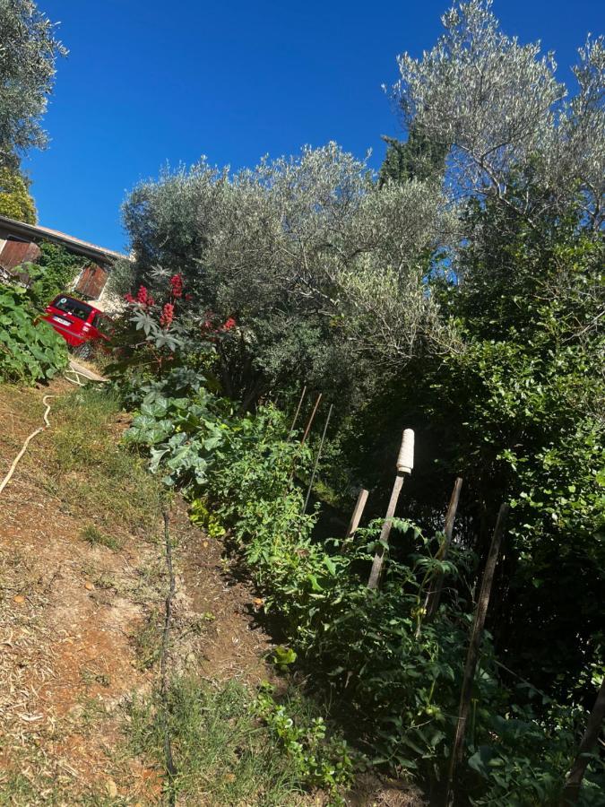 Le Mazet De Choubouloute Bed & Breakfast Saint-Gilles  Exterior foto